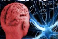 ذاكرة بصرية