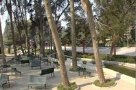 الحديقة اليابانية