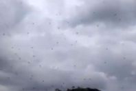 عناكب في السماء