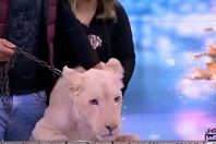 صورة من الفيديو