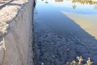 زيارات فرعونية