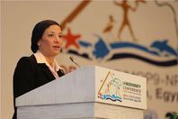 الدكتورة ياسمين فؤاد