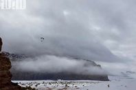 السعودية اليوم