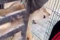 مقطع من الفيديو