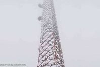 مئات النسور علي حدود تكساس 

