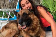 شاهد.. كلب يمزق وجه فتاة أثناء تصويرها معها