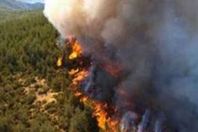 حرائق استراليا