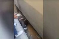 لحظة الإنقاذ