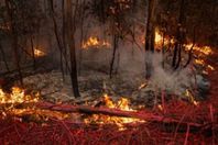 حرائق استراليا