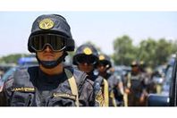 الشرطة المصرية