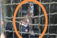 61d589634236045491713efb