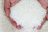 IMG_٢٠٢٢١١١٣_٢١٤٥٤٥