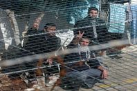 678eab934c59b7131b799f4b