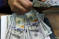 62-094112-dollar-price-today-egypt-tuesday-january-28-2025-3