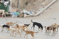 19_2019-636837946161521452-152