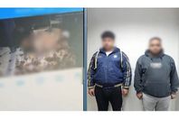 752104673800620260118120041041