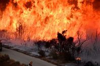 حرائق الغابات