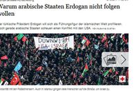 صورة الخبر الأصلي