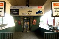 ساقية الصاوي