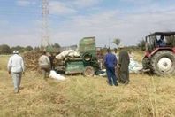 دراسة قش ذرة