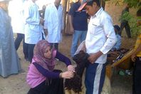 حملات تحصين