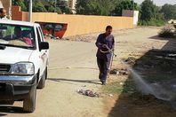 صحة أسوان تطلق حملة لتطهير عزبة الحدود  من الذباب والبعوض