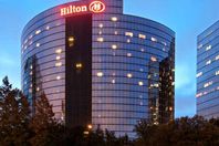 هيلتون