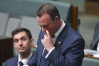 تيم ويلسون عرض الزواج من شريكه المثلي، الذي كان يجلس في مقصورة الجمهور، ورد بصوت عال معلنا قبول العر