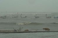 أمطار تغرق الشوارع فى الهند