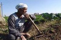 فلاح بالمنيا