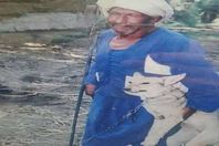 سيلفي مع الذئب