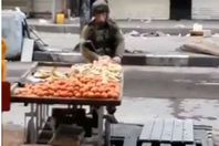 جنود الاحتلال يسرقون الفاكهة