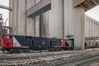 قطارتا نقل القمح