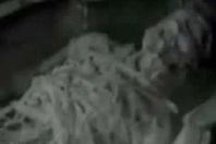 الكائن الفضائي المزعوم