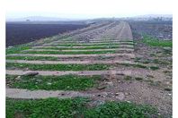 سخرية سورية.. « النظام سرق القطار والجولاني سرق الحديد»
