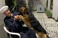 ياسين التهامي