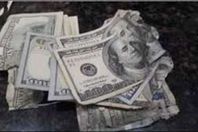 فأر يأكل 50 ألف دولار