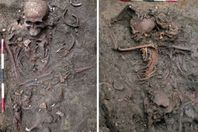 الهياكل العظمية في الإسكندرية

