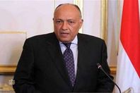 سامح شكري وزير الخارجية