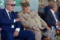 الرئيس الجزائري عبد المجيد تبون