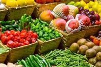 صادرات مصر الزراعية ترتفع  لـ 5.4 مليون طن