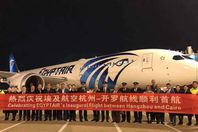 قنصل مصر في شنغهاي