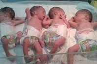 أربعة توائم