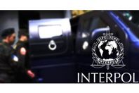 الإنتربول