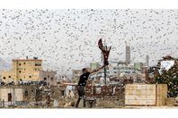 1042542067_0_86_2000_1211_1200x0_80_0_1_9d10ac96d3776775de48ccea7c56f111