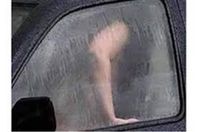 12201959618272158325