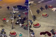 6399692c4c59b72f6a3348d0