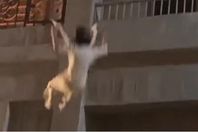 198-020148-scary-video-egyptian-artist-falling_700x400