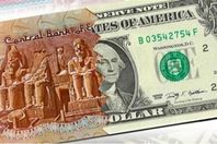 62-100135-dollar-price-today-egypt-monday-december-30-2024-3