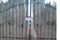 WhatsApp Image 2025-_728_113231